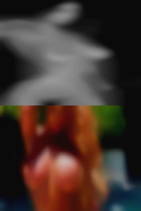 bentonpratka, horny