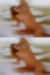 Findlay, naked girls