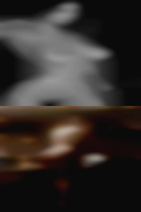 wombat_man, horny